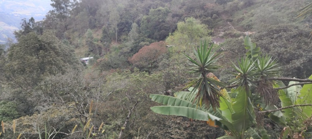 Cáqueza-Chipaque, Cáqueza, Cundinamarca, Colombia 4